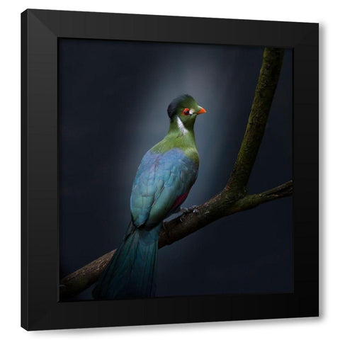 Delightful Black Modern Wood Framed Art Print with Double Matting by Van Son, Greetje