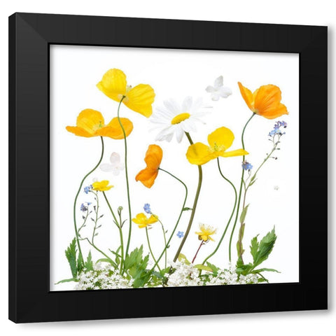 Spring Sunshine Black Modern Wood Framed Art Print with Double Matting by Williams, Sharon