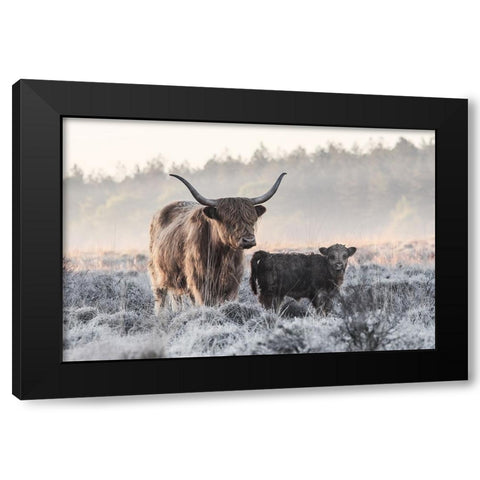 Highlander And Calf Black Modern Wood Framed Art Print with Double Matting by van den, Jaap