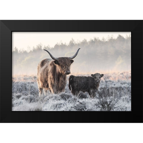 Highlander And Calf Black Modern Wood Framed Art Print by van den, Jaap