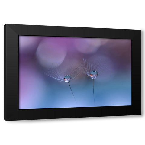 ~O~O~ Black Modern Wood Framed Art Print by Nan, Juliana