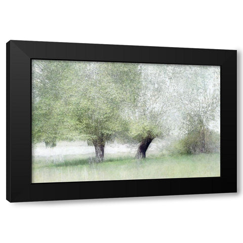 Young Green Black Modern Wood Framed Art Print with Double Matting by Talen, Nel