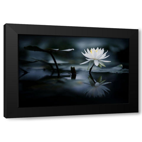 Reflection Black Modern Wood Framed Art Print by Suzuki, Takashi