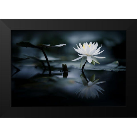 Reflection Black Modern Wood Framed Art Print by Suzuki, Takashi