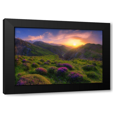 Spring In Show Black Modern Wood Framed Art Print by Younesi, Saeed