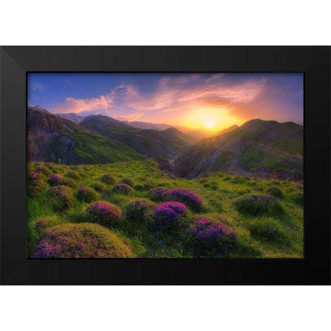 Spring In Show Black Modern Wood Framed Art Print by Younesi, Saeed