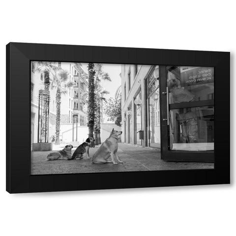 Untitled Black Modern Wood Framed Art Print by Lev Ari, Shay