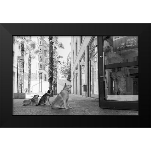 Untitled Black Modern Wood Framed Art Print by Lev Ari, Shay