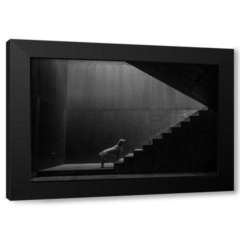 On The Threshold Of A Dream Black Modern Wood Framed Art Print by Camara, Luis