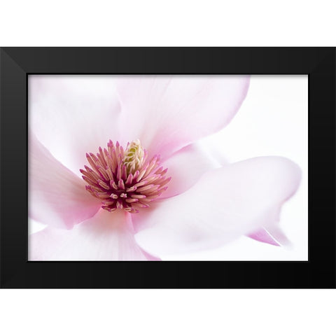 Freshness Black Modern Wood Framed Art Print by Karpova, Inna