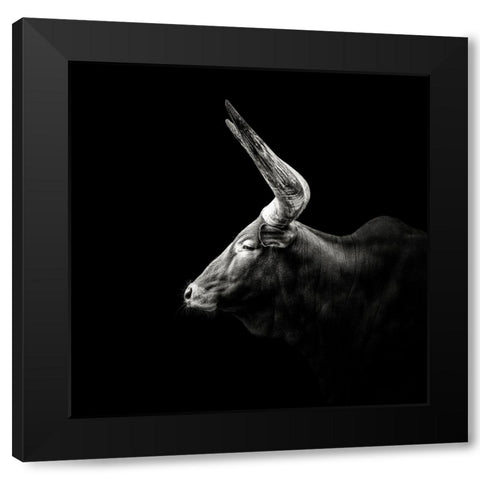 Watusi Black Modern Wood Framed Art Print by Meermann, Christian