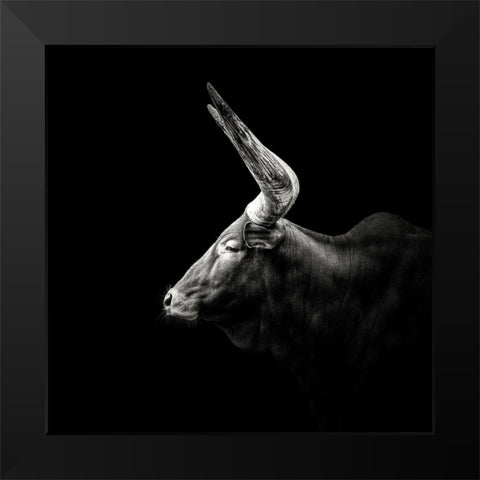 Watusi Black Modern Wood Framed Art Print by Meermann, Christian