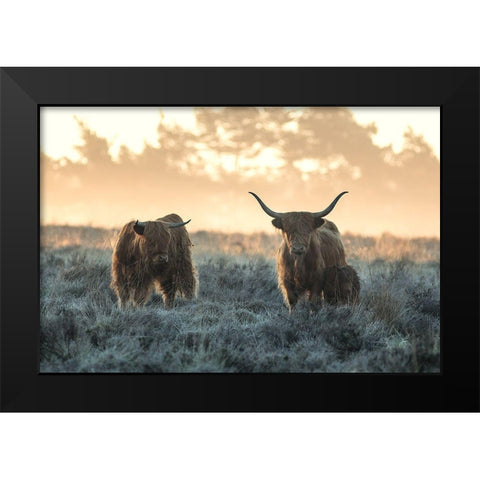 Three Highlanders Black Modern Wood Framed Art Print by Van Den, Jaap