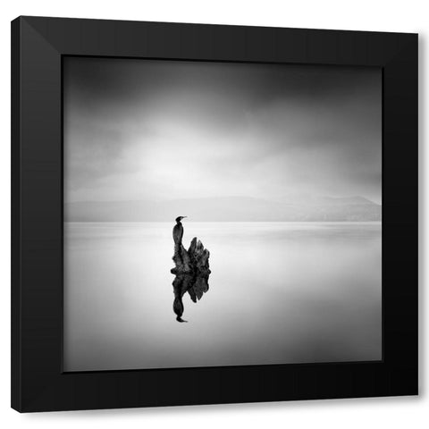 Cormorant 02 Black Modern Wood Framed Art Print with Double Matting by Digalakis, George