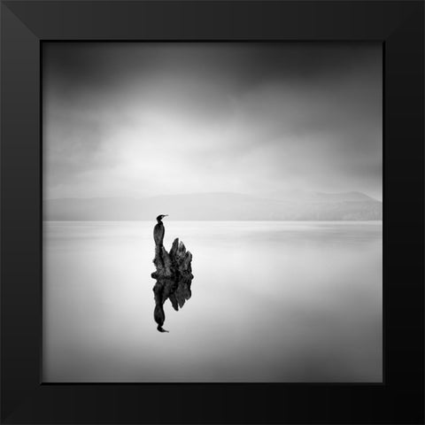 Cormorant 02 Black Modern Wood Framed Art Print by Digalakis, George