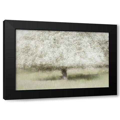 In The Backyard Black Modern Wood Framed Art Print by Talen, Nel