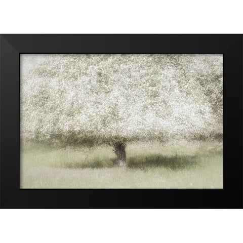 In The Backyard Black Modern Wood Framed Art Print by Talen, Nel