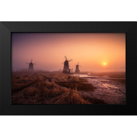 Foggy Morning Black Modern Wood Framed Art Print by Seo, Tiger