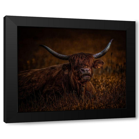 On A Break Black Modern Wood Framed Art Print with Double Matting by Agazzi, Andreas