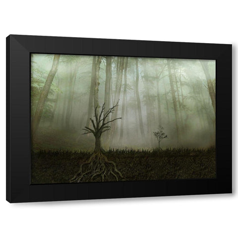 Root 1 Black Modern Wood Framed Art Print by Golchin, Aryana