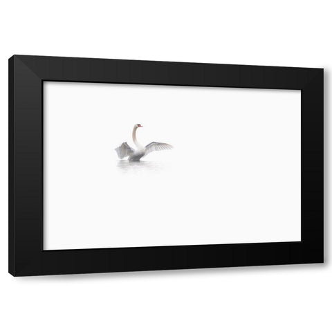 White Black Modern Wood Framed Art Print with Double Matting by Bravin, Fabien