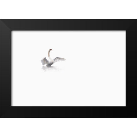 White Black Modern Wood Framed Art Print by Bravin, Fabien