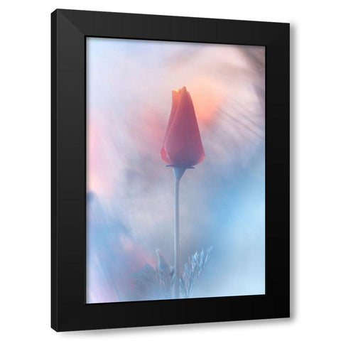 Douceur A Voluptac Black Modern Wood Framed Art Print with Double Matting by BRAVIN, Fabien