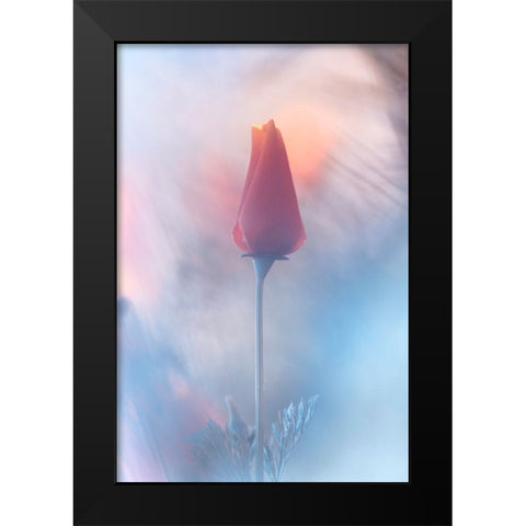 Douceur A Voluptac Black Modern Wood Framed Art Print by BRAVIN, Fabien