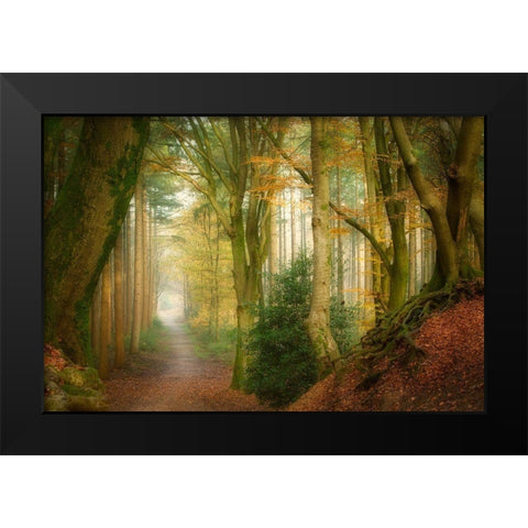 Following Fog Black Modern Wood Framed Art Print by Borggreve, Ellen