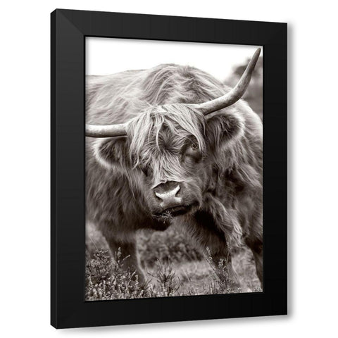The Bull Black Modern Wood Framed Art Print by Parker, Jacky