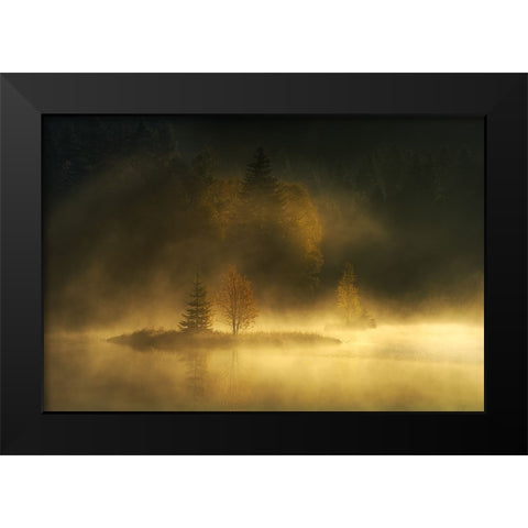 Autumnsphere Black Modern Wood Framed Art Print by Borggreve, Ellen