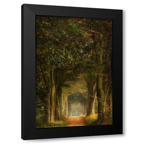 Daydreamer Black Modern Wood Framed Art Print by Borggreve, Ellen