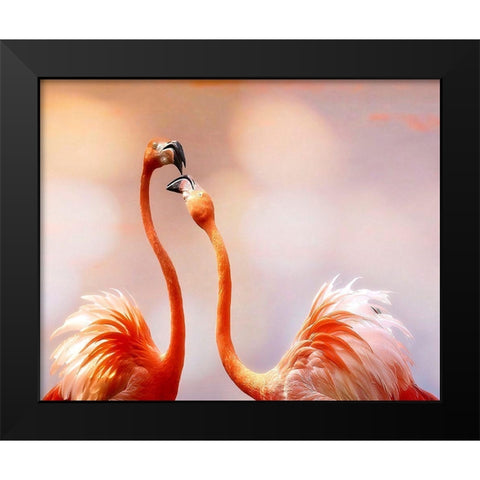 The Kiss Black Modern Wood Framed Art Print by Cseresnjes, Anna