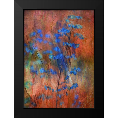Colors Dance On Flowers Black Modern Wood Framed Art Print by Devos, Delphine