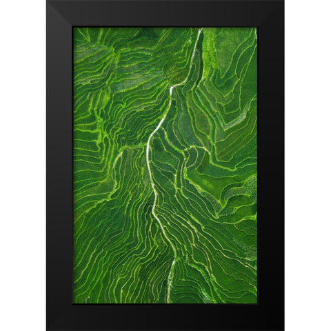 Vein Black Modern Wood Framed Art Print by TIANQI