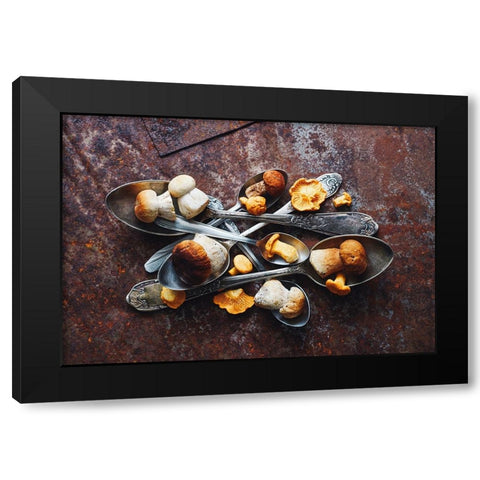 Spoonsawild Mushrooms Black Modern Wood Framed Art Print with Double Matting by Karina, Aleksandrova