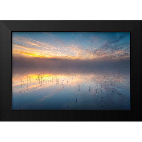 Reeds Black Modern Wood Framed Art Print by Keller