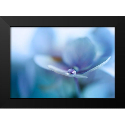 Reflection Black Modern Wood Framed Art Print by Van Deelen, Ellen