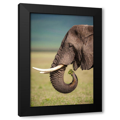 Light Snack Black Modern Wood Framed Art Print by Felici, Massimo