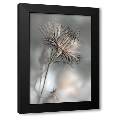Source Of Life Black Modern Wood Framed Art Print with Double Matting by Claes, Gilbert