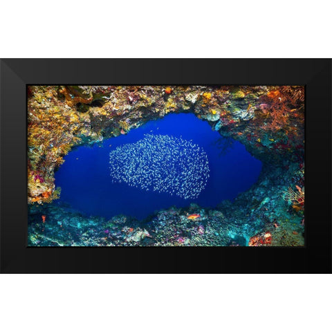 Underwater Cave Black Modern Wood Framed Art Print by Gabriel, Barathieu
