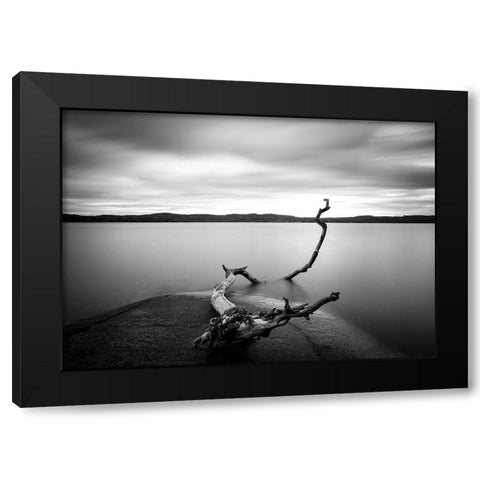 Branch Long Exposure Lake Black Modern Wood Framed Art Print with Double Matting by Lindsten, Christian