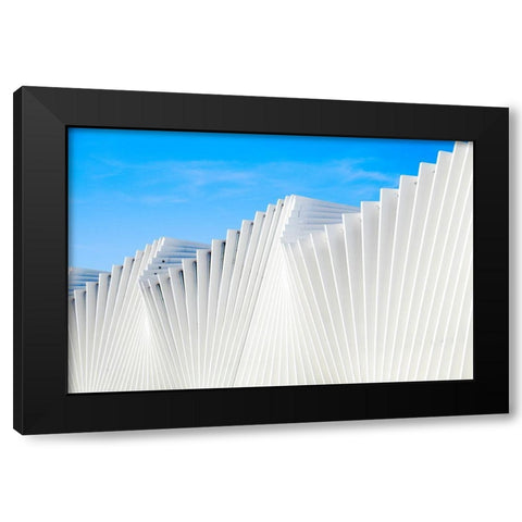 Il Ventaglio Black Modern Wood Framed Art Print by Della Latta, Massimo