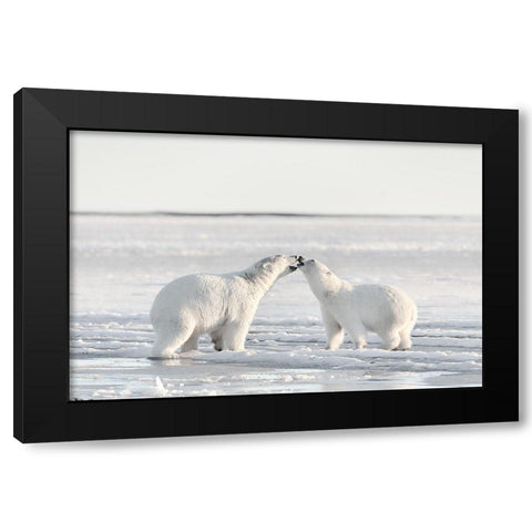 Morning Celebration Black Modern Wood Framed Art Print by Itoyama, Eiji