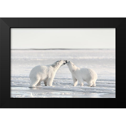 Morning Celebration Black Modern Wood Framed Art Print by Itoyama, Eiji