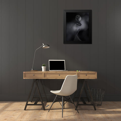 Old Poppies Black Modern Wood Framed Art Print by Gronkjar, Lotte