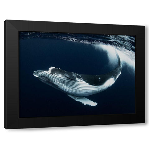 Beautiful Turn Black Modern Wood Framed Art Print by Takahashi, Reiko