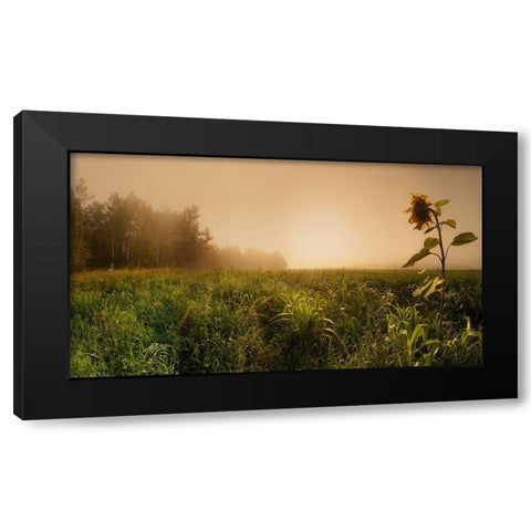 Misty Morning Black Modern Wood Framed Art Print with Double Matting by Shepeleva, Julia