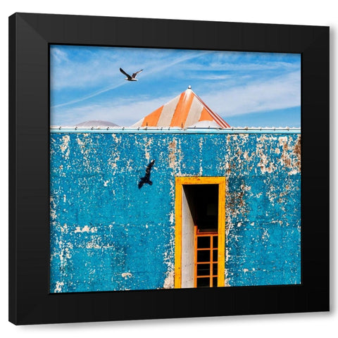 The Seagull Black Modern Wood Framed Art Print with Double Matting by Della Latta, Massimo