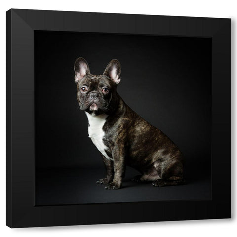 Max Black Modern Wood Framed Art Print with Double Matting by Suykerbuyk, Jurgen